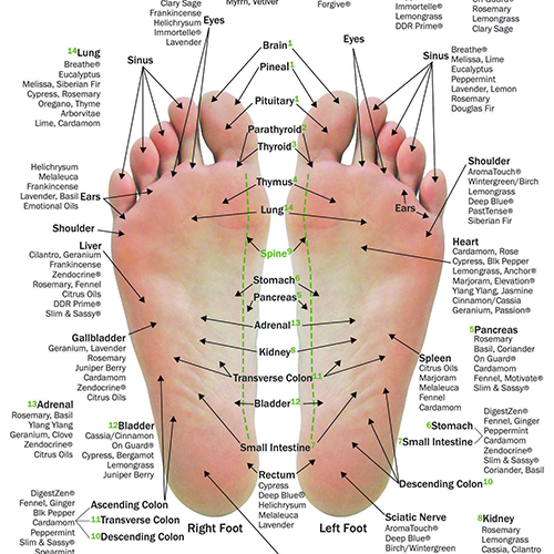 reflexology tretament